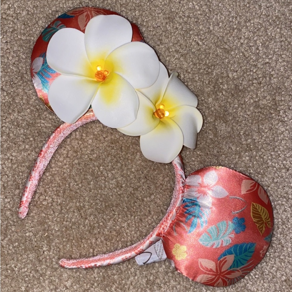 Brand new Mickey ears